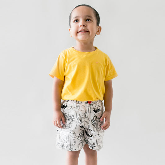 Boy Color & Wear Shorts